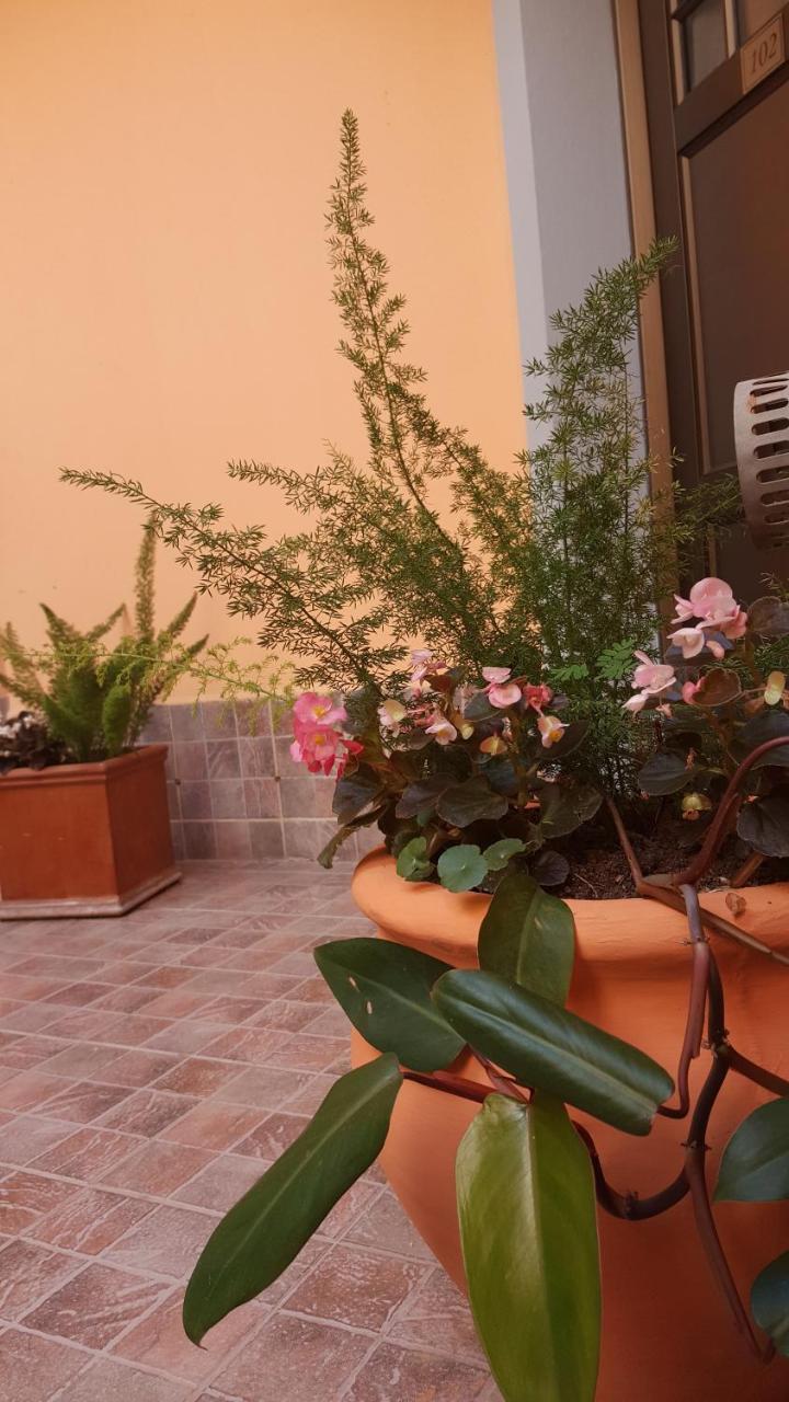 Hotel La Casona 3*